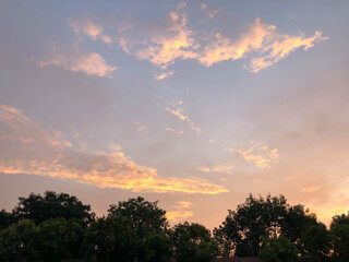Fototapeta na wymiar Evening sunset sky above trees