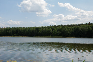 big lake in the forest with clear sky