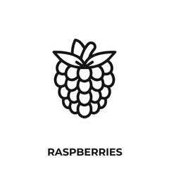 raspberries icon vector. raspberries icon vector symbol illustration. Modern simple vector icon for your design.