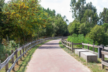 Fototapeta na wymiar Pedestrian and cycle eco path, asphalt pavement, stone bench, background and vegetation