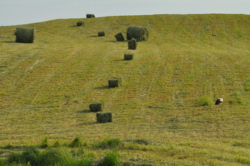 Polska - Mazury - Warmia. Krajobraz. © Rafa