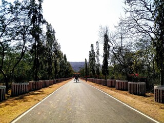 Obraz premium path in the park