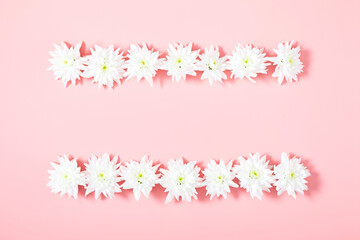 Beautiful flowers composition. White flowers on pastel pink background. Flat lay, top view, copy space