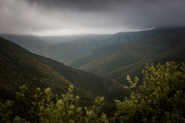 Mountain landscape view through vegetation