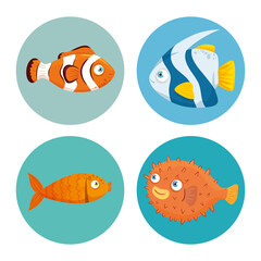 set fishes, sea world dwellers, cute underwater creatures, habitat marine vector illustration design