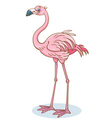 Pink flamingo in cartoon style. Isolated on white background. Vector illustration.
