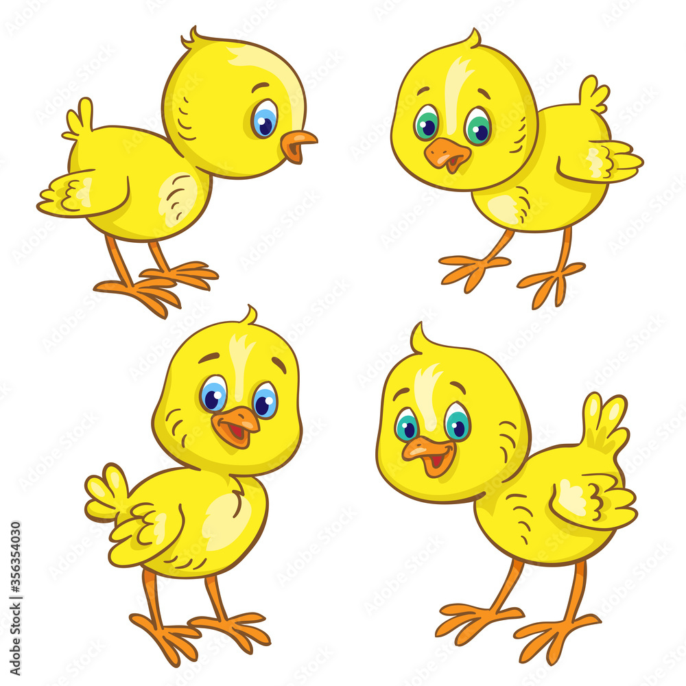 Canvas Prints Set of four cute little chickens.  In cartoon style. Isolated on white background. Vector illustration.