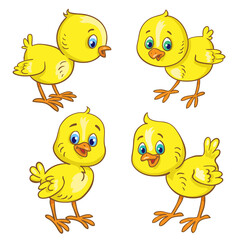 Set of four cute little chickens.  In cartoon style. Isolated on white background. Vector illustration.