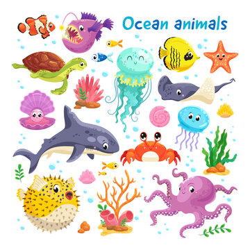 A large set of beautiful ocean animals. Vector illustration.