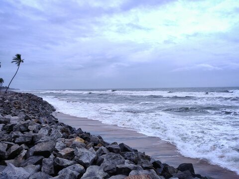 A picture of beach with rocks along with a coconut tree on the shore and cloudy sky on background. The sea is violent with strong waves in this picture. Kappil Beach (Varkala Town), Kerala.