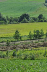 Warmia - widok na uprawy