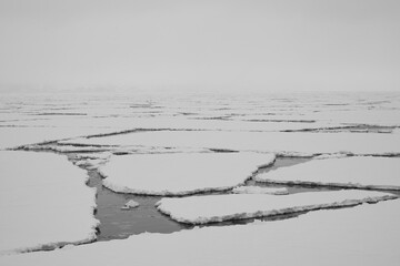 Melting sea ice in the Arctic on Spitsbergen on a cloudy day in black and white