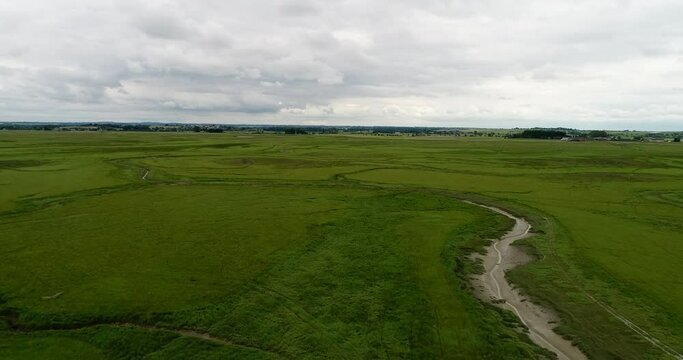 Drone shot of a very green and sappy grassland