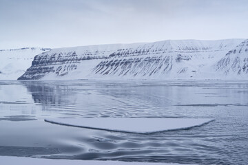 Melting sea ice in the Arctic in "Billefjord" on Spitsbergen. Snow covered mountains in the background