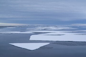 Melting sea ice in the Arctic in shades of blue and white