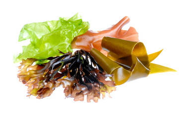 edible seaweed on white background - obrazy, fototapety, plakaty