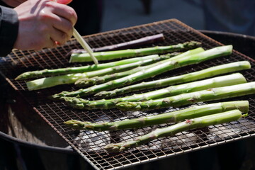 採りたてのアスパラガスの網焼き