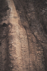 Tire tracks in the forest