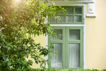 Green tree plant at home windows outdoor for sunshade fresh ozone air cooling house and save energy...