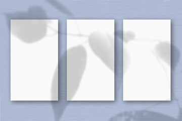 3 vertical sheets of textured white paper on soft blue table background. Mockup overlay with the plant shadows. Natural light casts shadows from an exotic plant. Horizontal orientation
