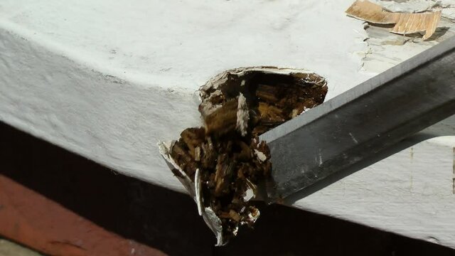 Rotten wood on window frame.