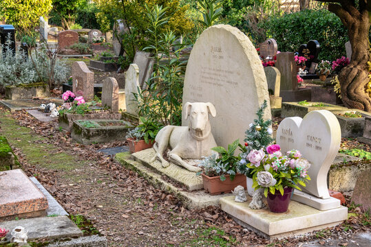 Graves in the pet cemetery of Paris in Asnières-sur-Seine, France. The "Cemetery of dogs and other domestic animals' is the oldest pet cemetery in the world.