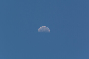 Third quarter moon visible during the morning.