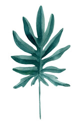 Watercolor sketch, tropical leaves on a white background, boho illustration