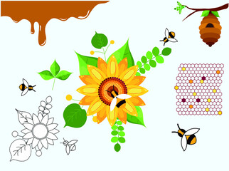 Vector Illustration of Honey Elements: Like honey, bee, honeycomb, Sunflower, leaf. Design element, outline set, icons of honey symbols, Vector illustration, eps 10.