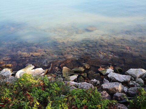 Shallow Lake Shore with Stones