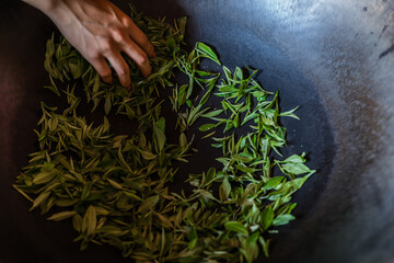 Processing tea leaves in a hot wok