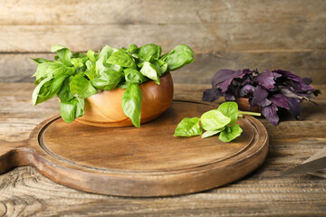 Composition with fresh basil on wooden table