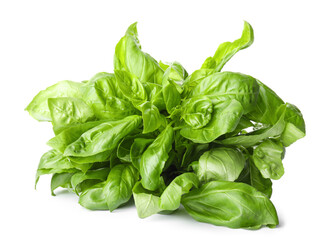 Fototapeta premium Fresh green basil isolated on white