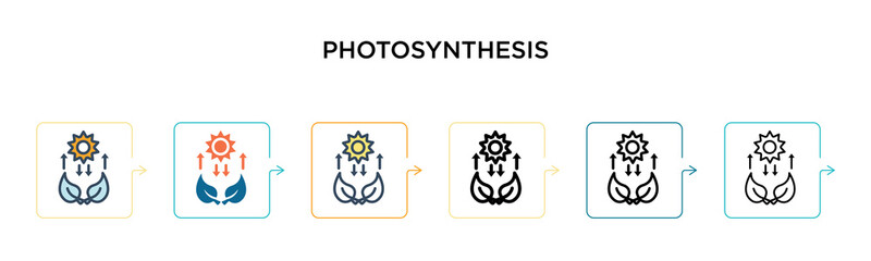 Photosynthesis vector icon in 6 different modern styles. Black, two colored photosynthesis icons designed in filled, outline, line and stroke style. Vector illustration can be used for web, mobile, ui