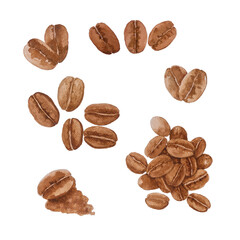 Brown coffee bean illustration watercolor drawing with clipping path