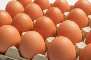 Close-up of chicken eggs in a pack