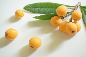 ビワの実とビワの葉っぱ