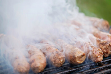 Grilled Fried Smoked Sausages BBQ 6