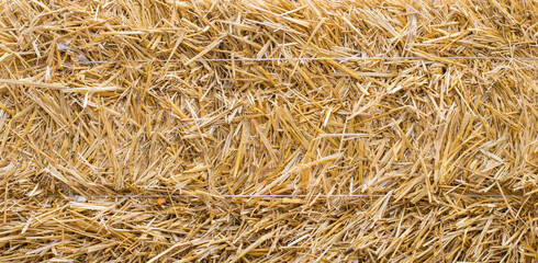 Photo texture pressed straw background