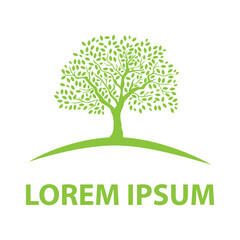 Obraz premium green tree logo