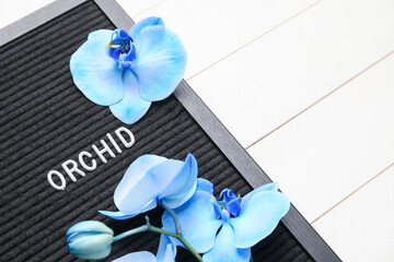 Beautiful orchid flowers and board on light background