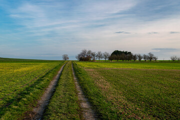 rural landscape with fields