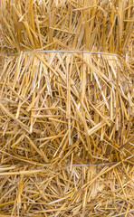 Photo texture pressed straw background