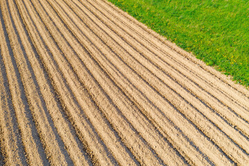 Plowing land furrows for planting agronomical plants among the countryside, aerial view from above.