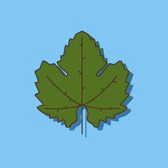 Vine leaf