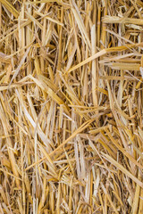 Photo texture pressed straw background
