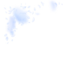 Light blue flower petals falling down. Extraordina