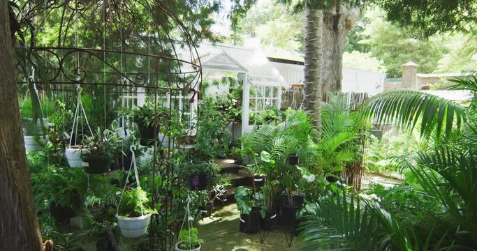 Garden with plants and a greenhouse