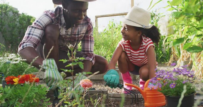 African american father and daughter gardening together