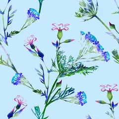 Zelfklevend Fotobehang Aquarel natuur set Veldbloemen met kerrieplant, naadloos patroon
